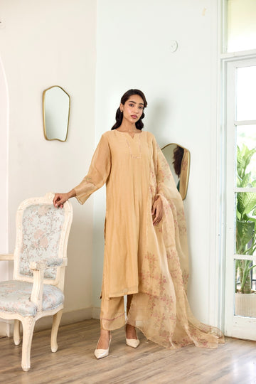 Meadows stone organza applique hand embroidered chanderi kurta set (set of 3)
