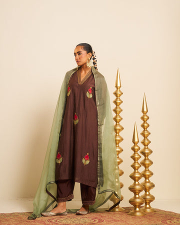 Punica brown applique hand embroidered chanderi kurta set.